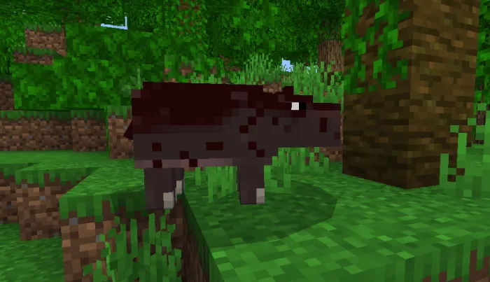 Карликовый бегемот в джунглях