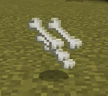 Кости карликового бегемота