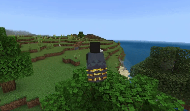 Полет на элитрах