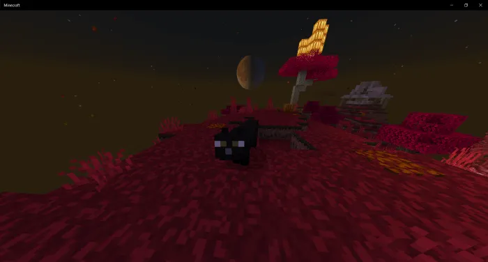 Вид пантеры