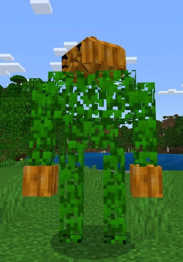 Вид тыквенного голема