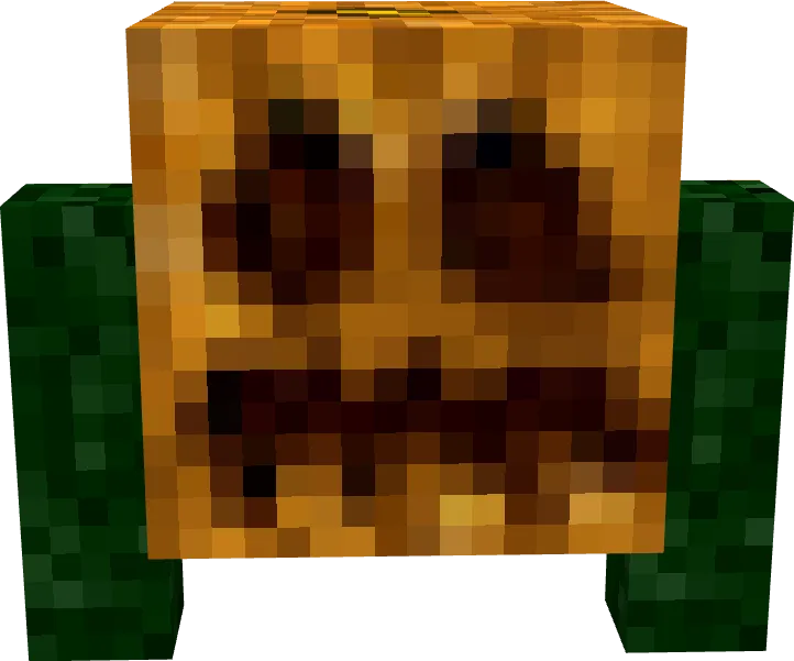 Вид миньона