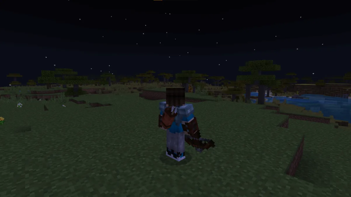 Колчан на спине