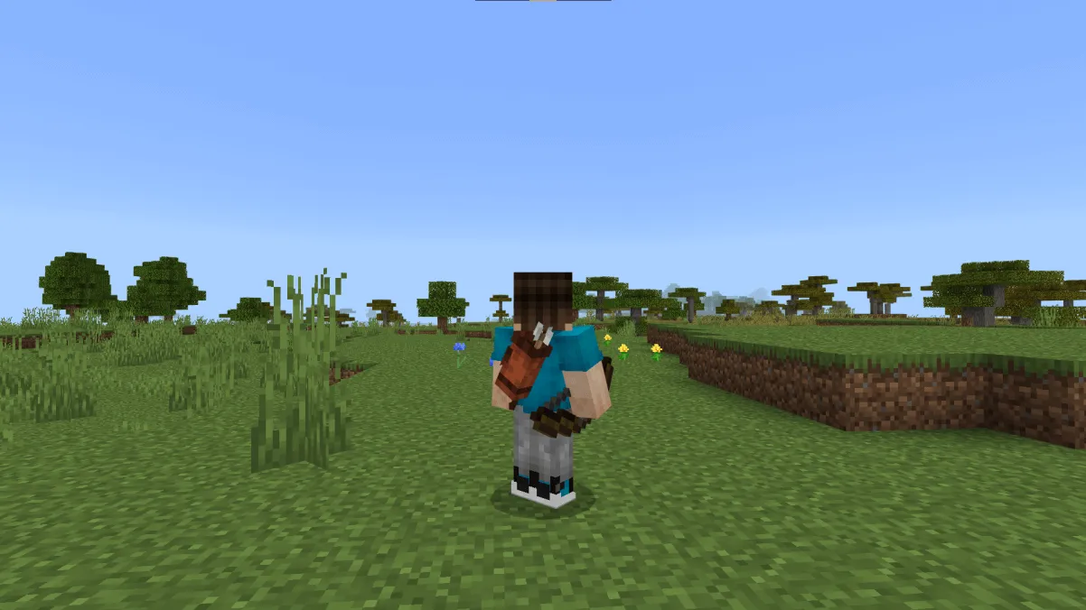 Колчан за спиной игрока