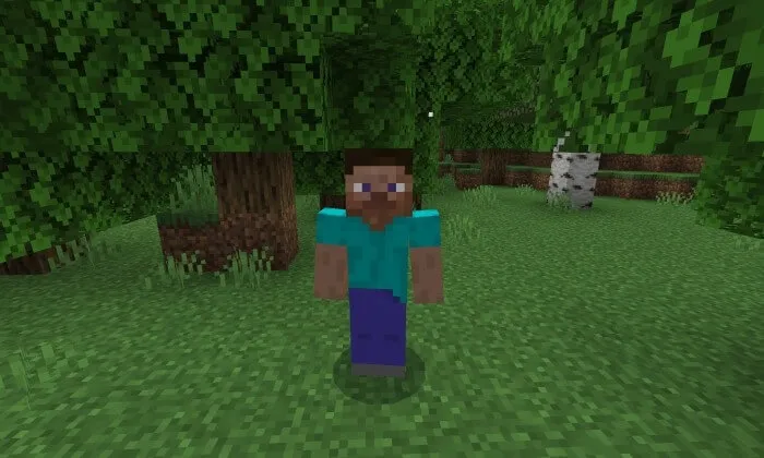 Житель в лесу