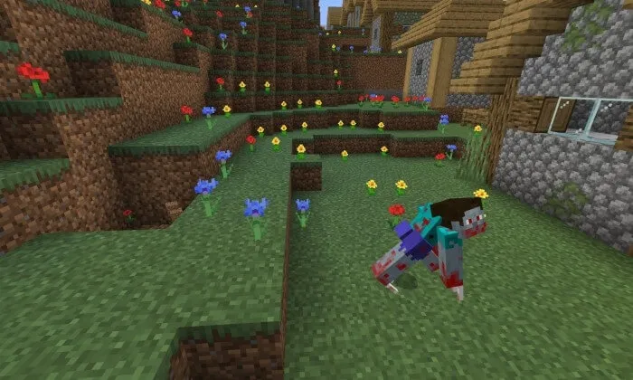 Вид Бурровера