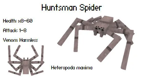 Паук охотник