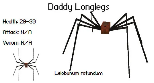 Паук-сенокосец