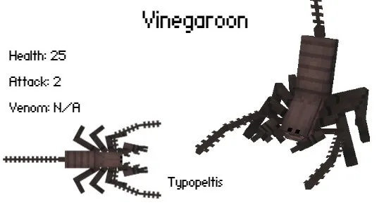 Скорпион Хлыст