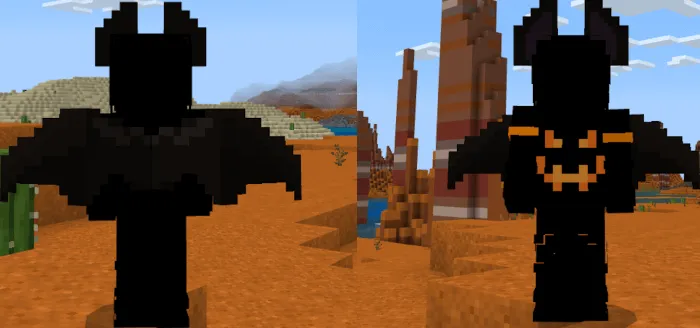 Вид костюма сзади и спереди