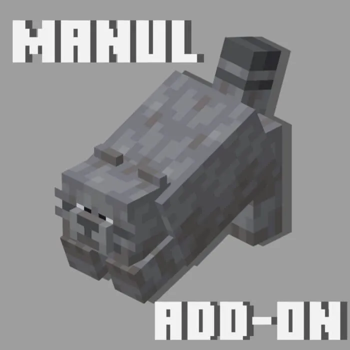 Серый манул