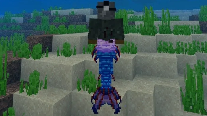 Вид хвоста сзади