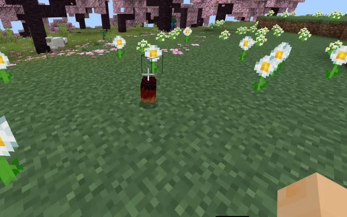 Яйцо виверны