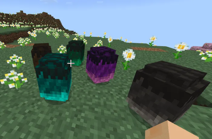 Яйца разных виверн