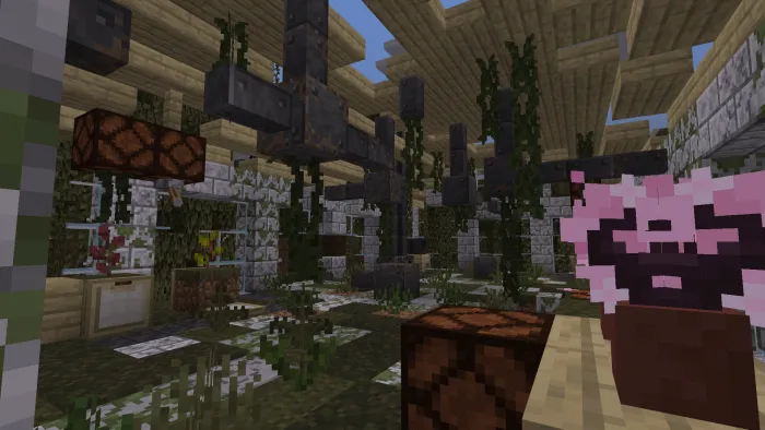 Биом эверглейдс