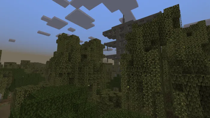 Вид эверглейдс