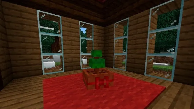 Выращивание ели