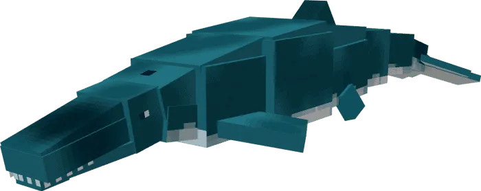 Модель акулы