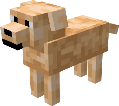 Желтый лабрадор