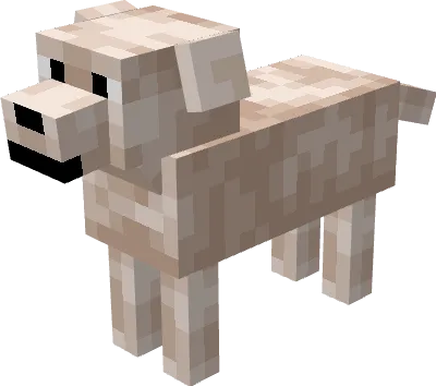 Белый лабрадор