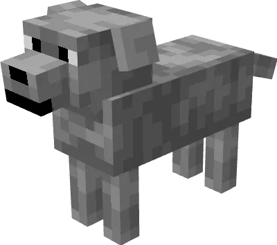 Серый лабрадор