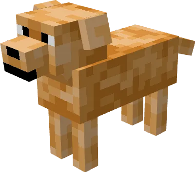 Золотой лабрадор