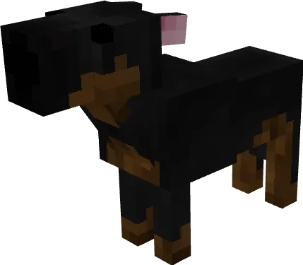 Тигрово-черный бультерьер