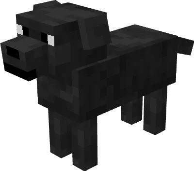 Черный лабрадор