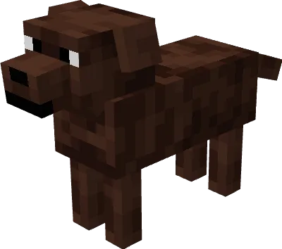 Шоколадный лабрадор