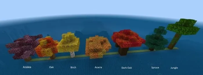 Новая осенняя листва