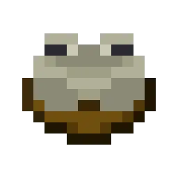 Белая лягушка в миске