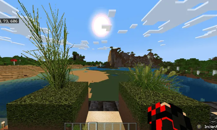 Реалистичные растения и солнце