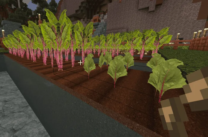 Реалистичная свекла