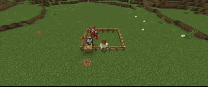 Житель разводит коров