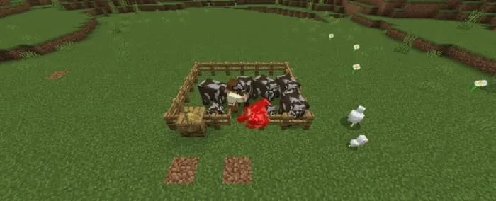 Коровы в загоне