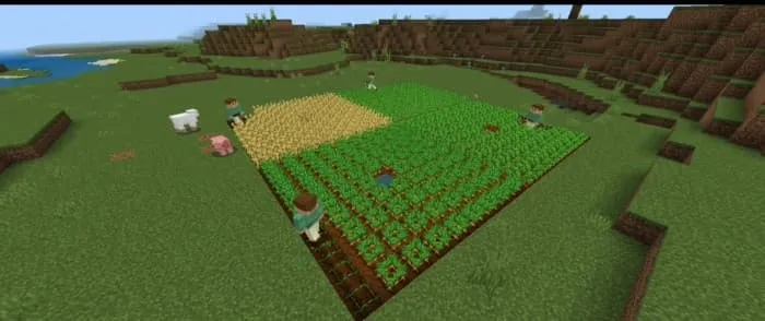 Поле фермера