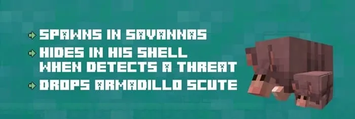 Armadillo mob description