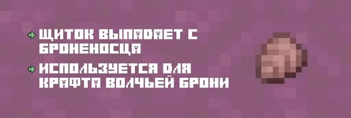 Описание щитка броненосца