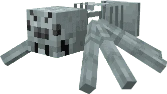 Бродячий паук