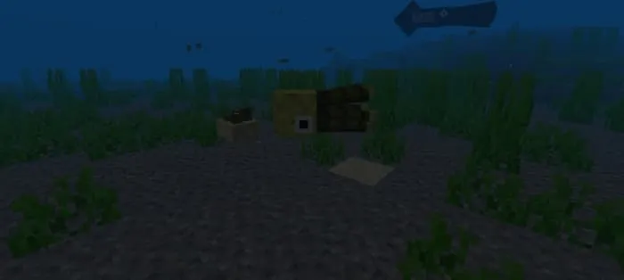 Кальмар-губка