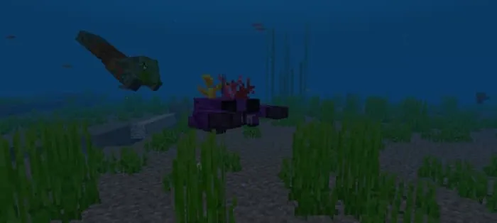 Коралловый краб