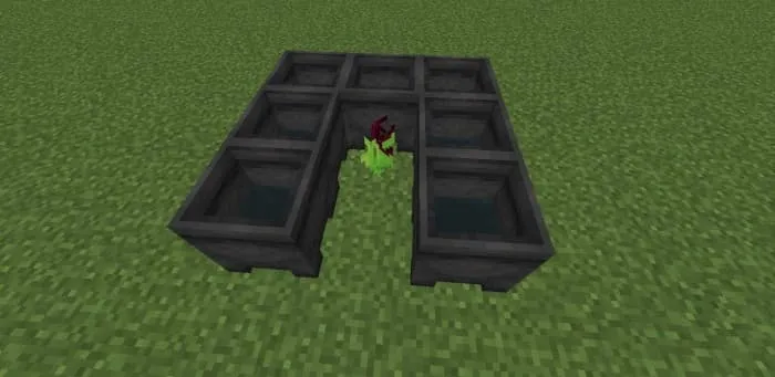 Растения-кувшин