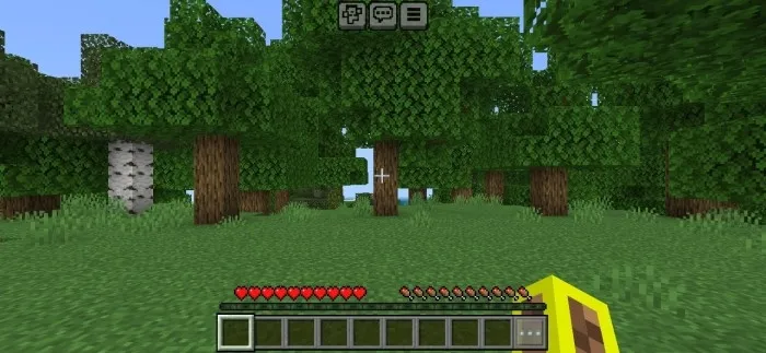 Второй вариант управления