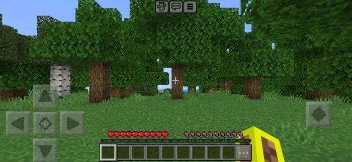 Обычный экран (скриншот 1)