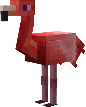 Розовый фламинго