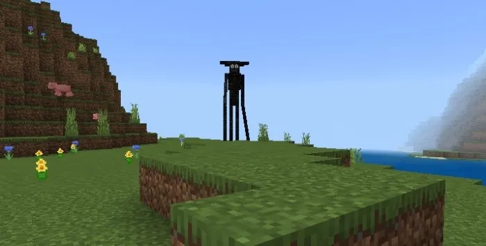 Сильф смотрит на игрока