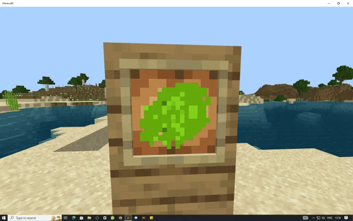 Части панциря черепахи