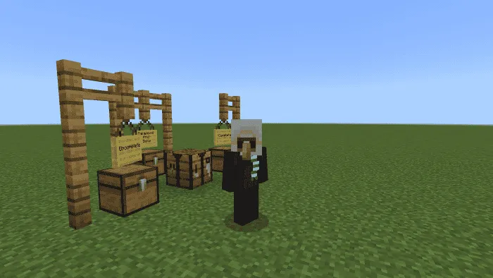 Голова Железного Голема на игроке