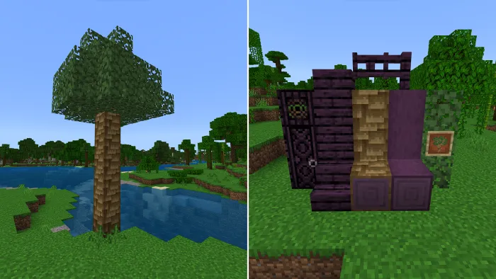 Амарант и набор блоков