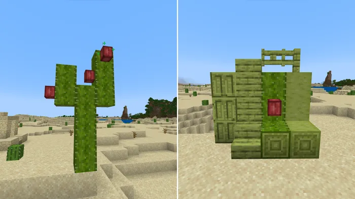 Кактус и набор блоков